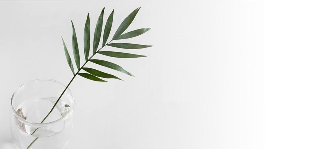 Promocje na Sierpień w Eco Beauty Salon ekologiczny salon kosmetyczny urody